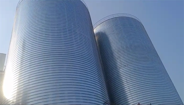 巴音郭楞2座混凝土高架卷板仓